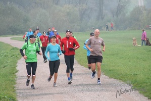 2 Lauf um Willhelmsburg 7