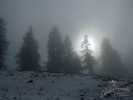 DSCF0284