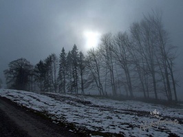 DSCF0294