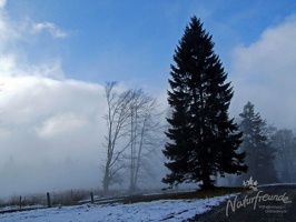 DSCF0314