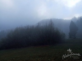 DSCF0337