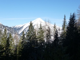 P1000888