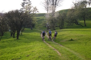 MTB Start 2008 014