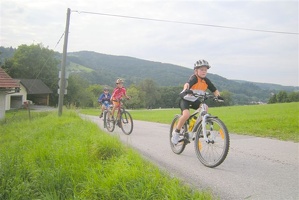 Bild 019 2