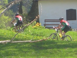 IMG 1854