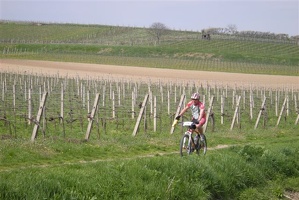 CX Guntramsdorf 074