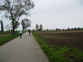 Marchfeld Radtour 29