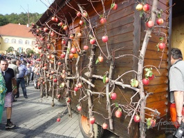 Radkersburg 126