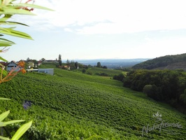 Radkersburg 46