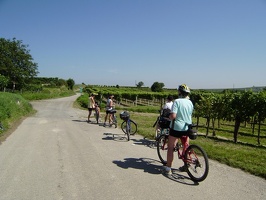 zum Weinbauer H ller 3