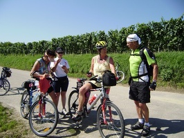 zum Weinbauer H ller 6