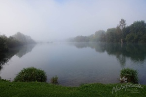 DSC07801