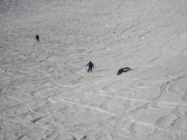 Schitour Eisenerzer Alpen 2011 41