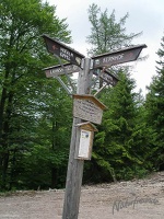Schnalzstein 1546m Hofalm 20