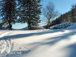 P1300066