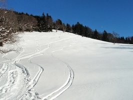 P1300067