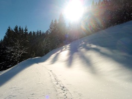 P1300071