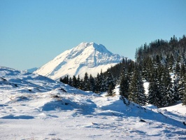 P1300090