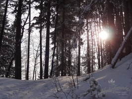 Skitour Hochstaff005