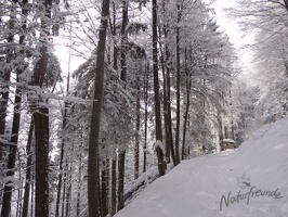 Skitour Hochstaff007