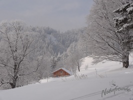 Skitour Hochstaff008