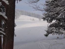 Skitour Hochstaff009