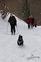 20130216 Eisenstein 012