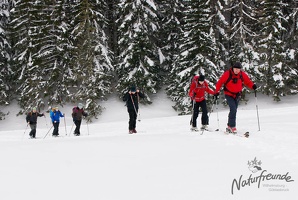20130216 Eisenstein 015