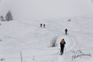 20130216 Eisenstein 019