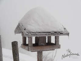 20130216 Eisenstein 021