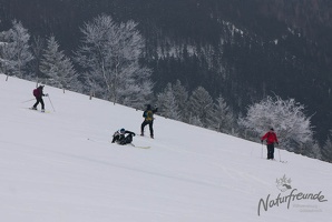 20130216 Eisenstein 024