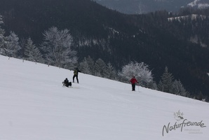 20130216 Eisenstein 025