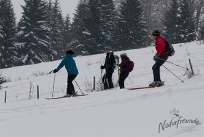 20130216 Eisenstein 027