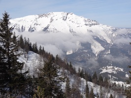 Gemeindealpe Zellerrain024