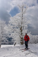 20130316 MBR NF 2403