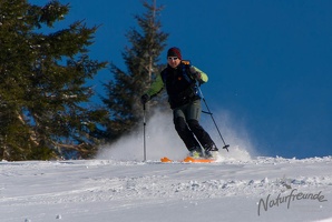20130316 MBR NF 2420