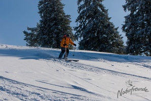 20130316 MBR NF 2447