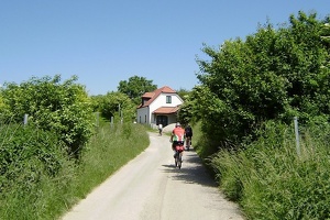 P6050144