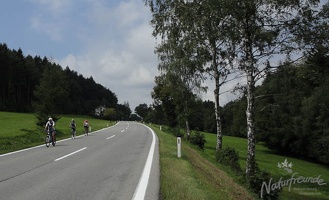 Triestingtalradweg 11