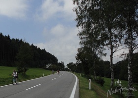 Triestingtalradweg 8