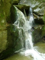 P5070061