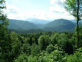 P012