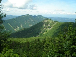 P019