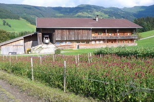 Wanderwoche Wildsch nau 113