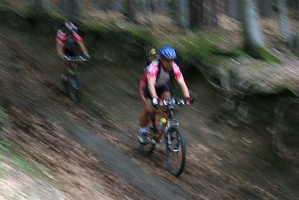 IMG 8574