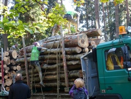 P1000623