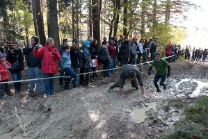 Wildsaulauf 15