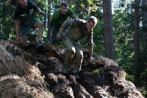 Wildsaulauf 21