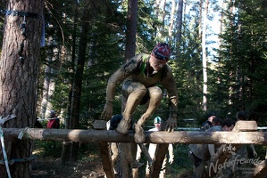 Wildsaulauf 33