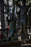 Wildsaulauf 36